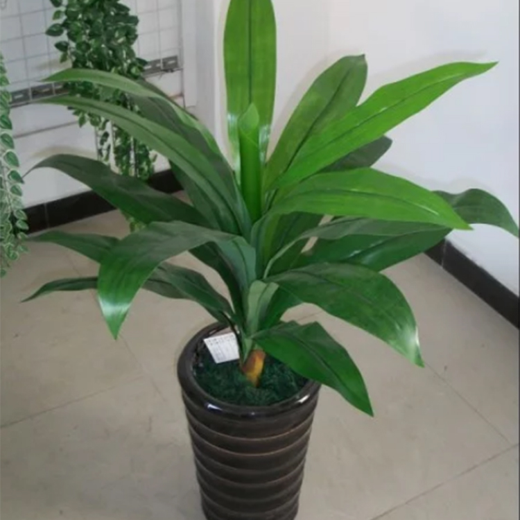 關(guān)于仿真植物的知識你知道多少？