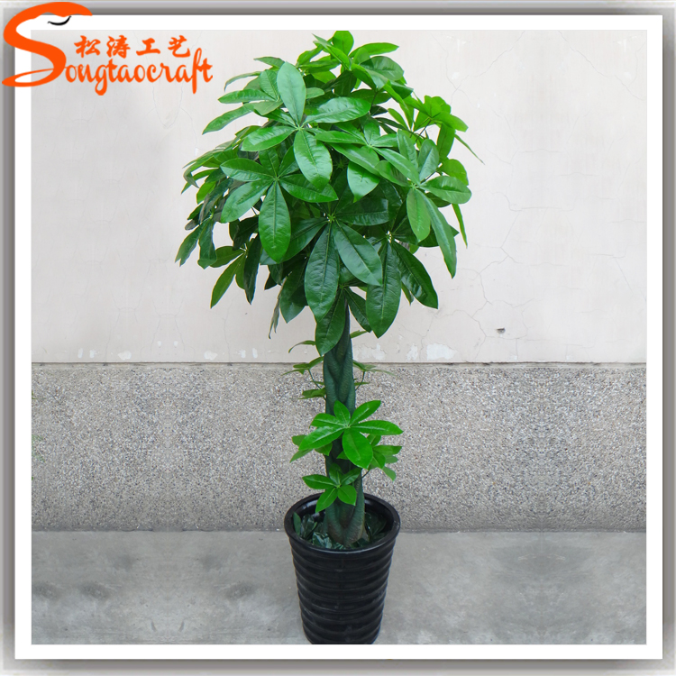室內(nèi)仿真植物哪種好？