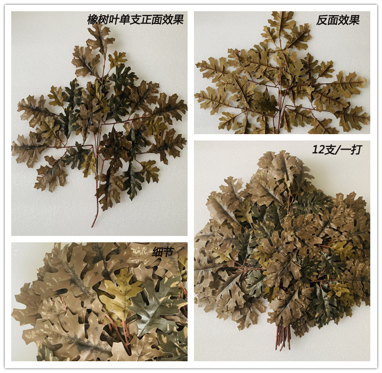 五叉假橡樹葉子