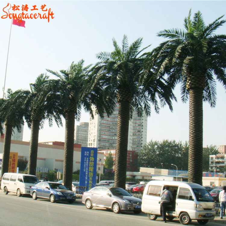大型假海藻樹